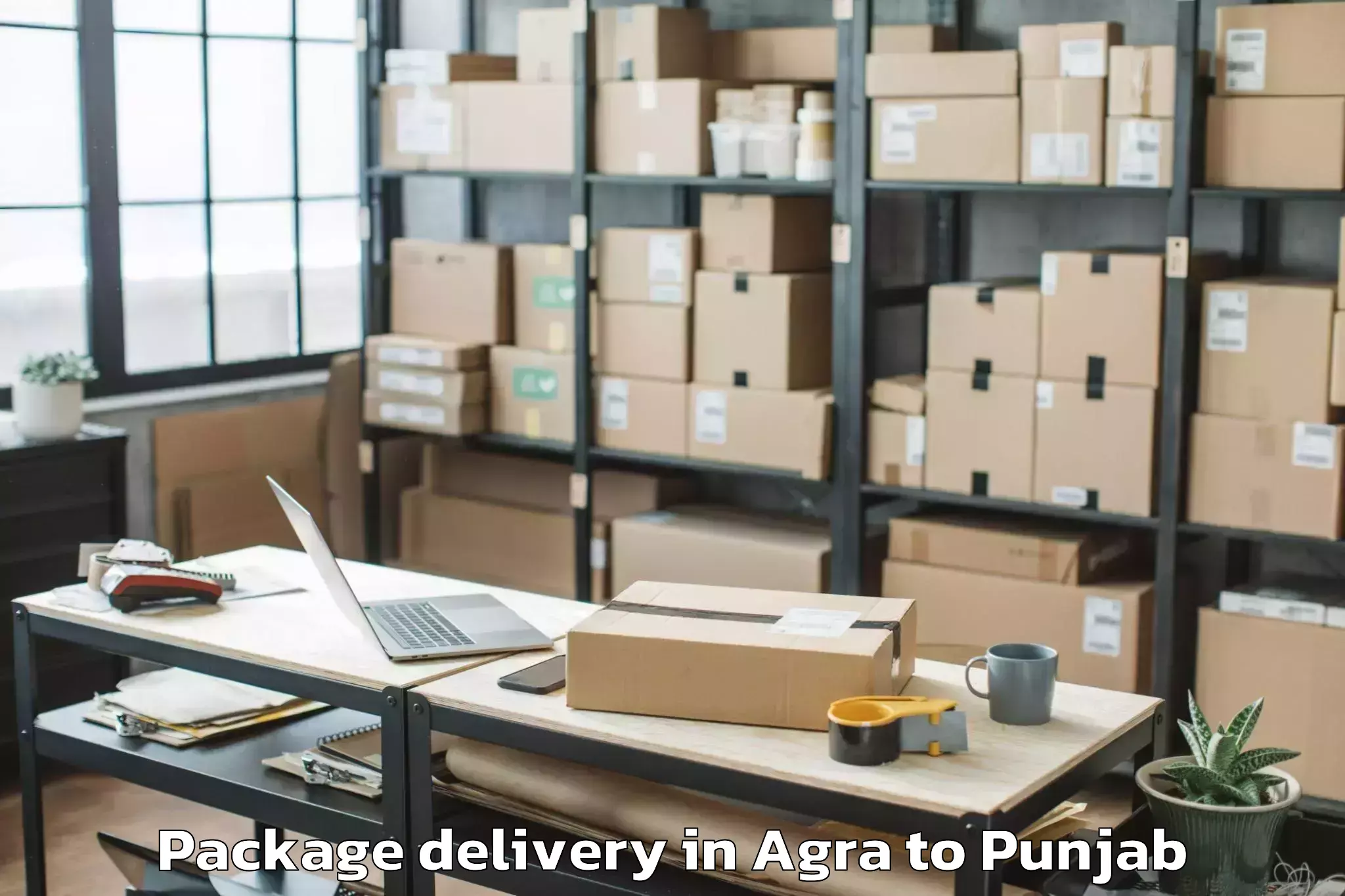 Affordable Agra to Badhni Kalan Package Delivery